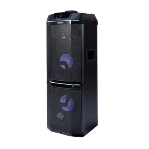 Parlante Aiwa AWPOK 100